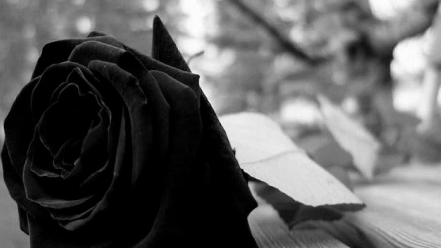 Mujer muere desnucada tras caerse de un banco en un hospital