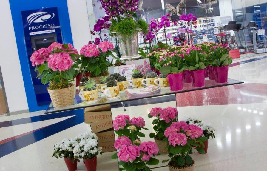 Novo-Centro realiza el 5to Festival de las Flores