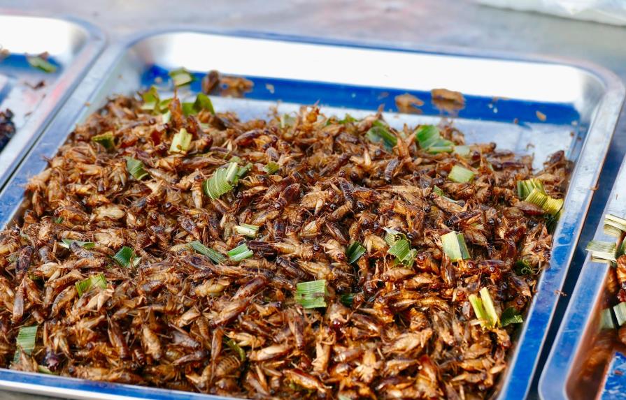 Los insectos comestibles abren paso a la fabricación de nuevas harinas