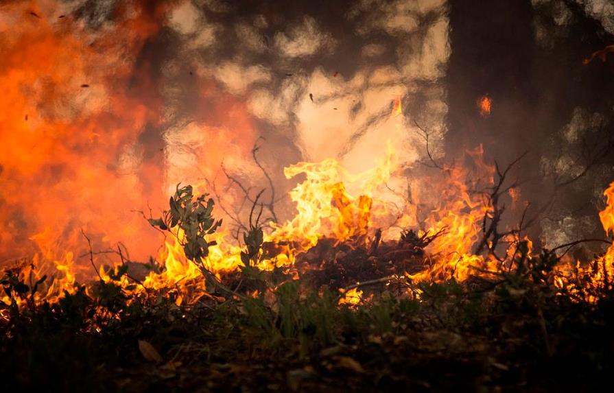 Incendio forestal obliga a autoridades chilenas a cerrar parque nacional
