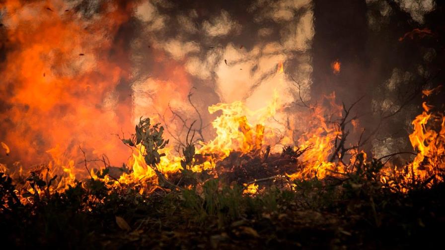 Incendio forestal obliga a autoridades chilenas a cerrar parque nacional