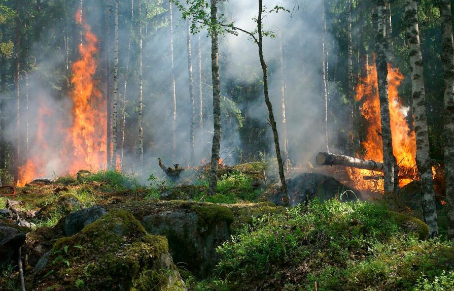 Dictan prisión a acusados de provocar incendio forestal en Bolivia 