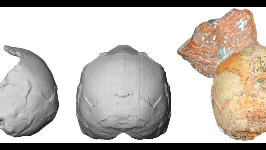 Reportan fósil humano en Grecia de hace 210,000 años