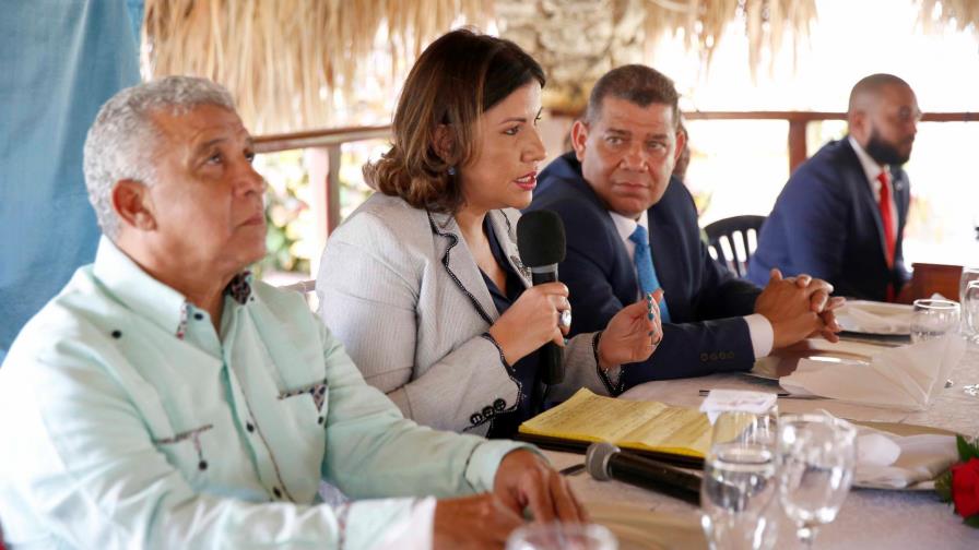 Margarita consulta a sectores y crecen contradicciones en el PLD