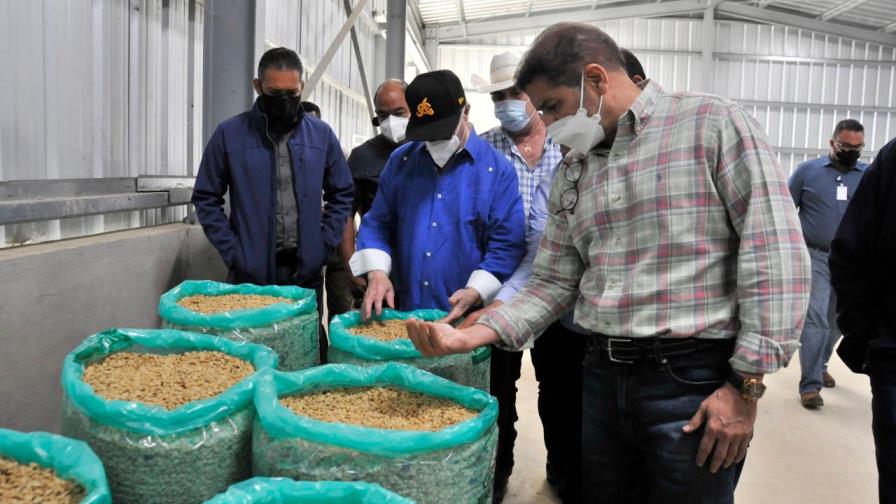 Agricultura invierte en la recuperación del sector cafetalero Agricultura invierte en la recuperación del sector cafetalero