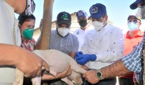 Ministro de Agricultura inicia jornada de vacunación contra la fiebre porcina clásica 