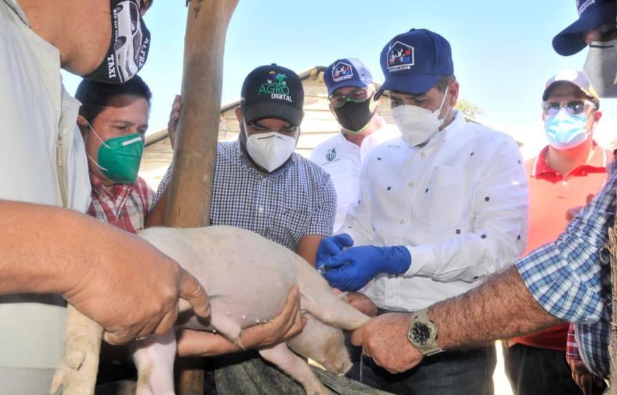 Ministro de Agricultura inicia jornada de vacunación contra la fiebre porcina clásica 