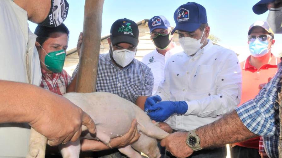 Ministro de Agricultura inicia jornada de vacunación contra la fiebre porcina clásica 