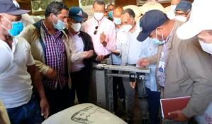 Agricultura compra 30 mil quintales de semillas de habichuelas a productores de San Juan