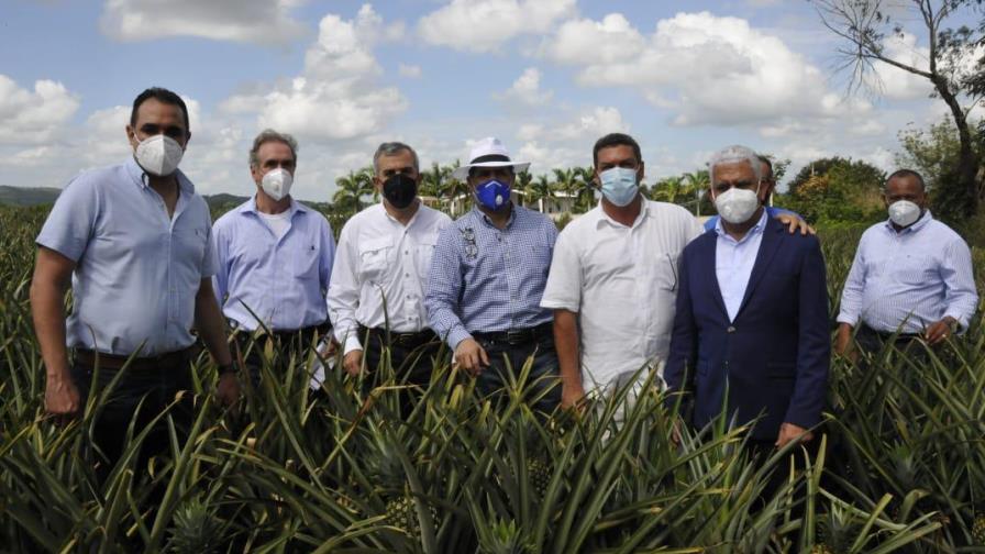 Gobierno apoyará a productores de piña para incrementar exportaciones