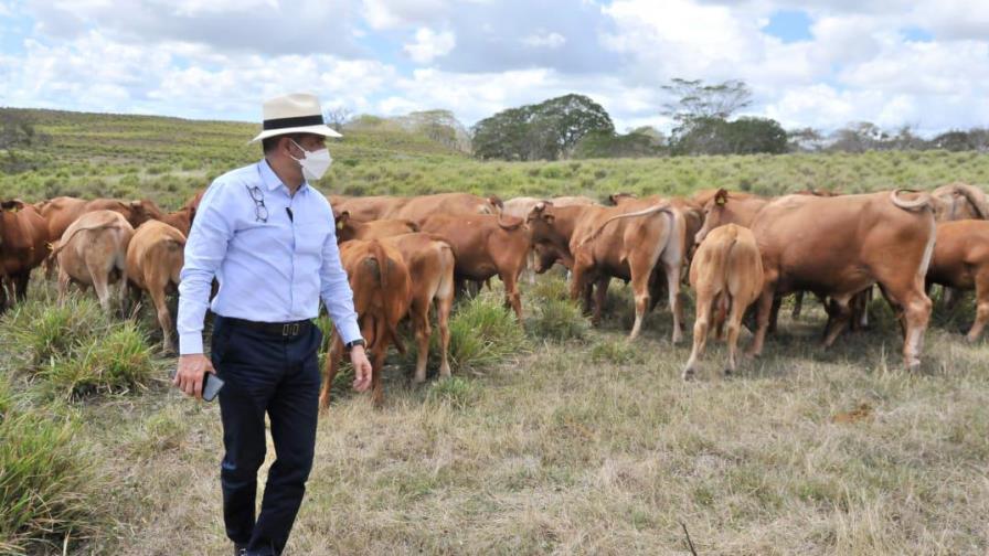 Ministro de Agricultura recorre finca ganadera del Central Romana