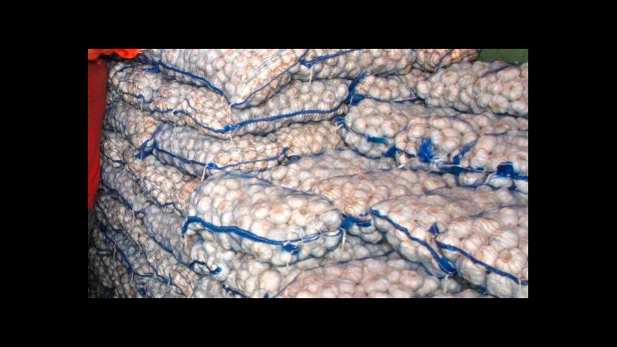 Inespre anuncia venta de ajo criollo en apoyo a los productores nacionales