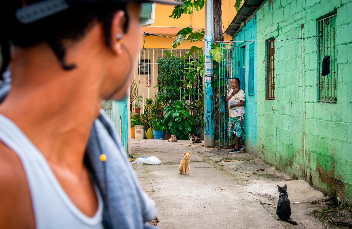 Fotografía ganadora de la mención honorífica.