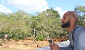 La invasión de los elefantes (historia de una catástrofe, encontrada en el microchip de un esqueleto)