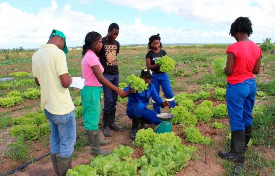 Agricultura familiar clave para seguridad alimentaria, dice banco desarrollo