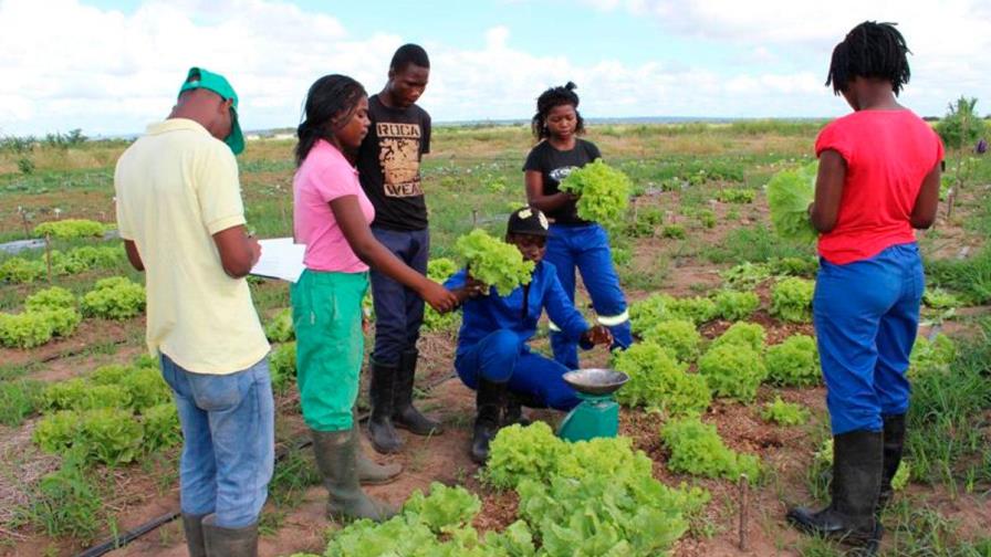 Agricultura familiar clave para seguridad alimentaria, dice banco desarrollo