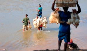 Unión Europea ha colaborado con RD$64,000 millones en Haití en últimos seis años