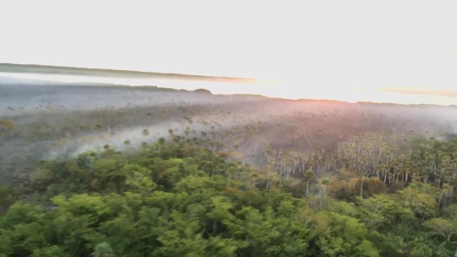 Más de cinco kilómetros de área protegida afectados por incendio en Cabeza de Toro