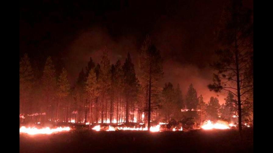 Los bomberos logran contener más del 50 % del mayor incendio activo en EEUU