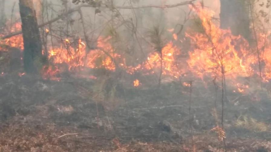 Fuego afecta la Sierra de Bahoruco 