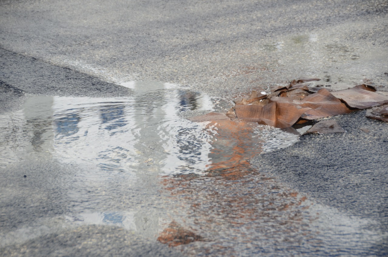 Avenida Abraham Lincoln( Francisco Arias)