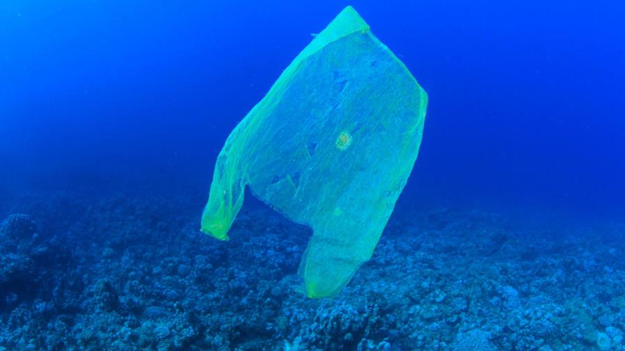 Más de 3.700 toneladas de plásticos flotan en el Mediterráneo Más de 3.700 toneladas de plásticos flotan en el Mediterráneo