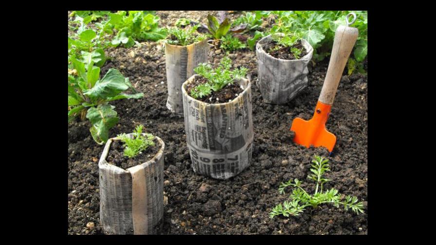 Macetas de papel periódico, te contamos cómo hacerlas
