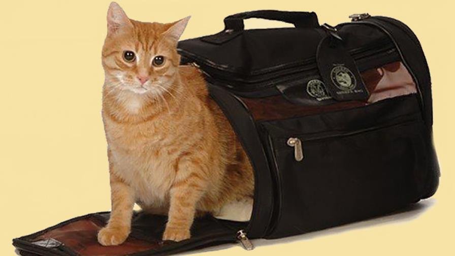 Requisitos para traer      una mascota del exterior