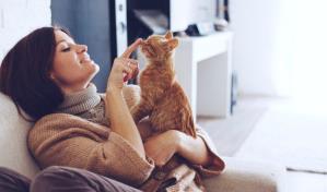 D&iacute;a del Gato: &iquest;qu&eacute; tomar en cuenta antes de llevar uno a casa?