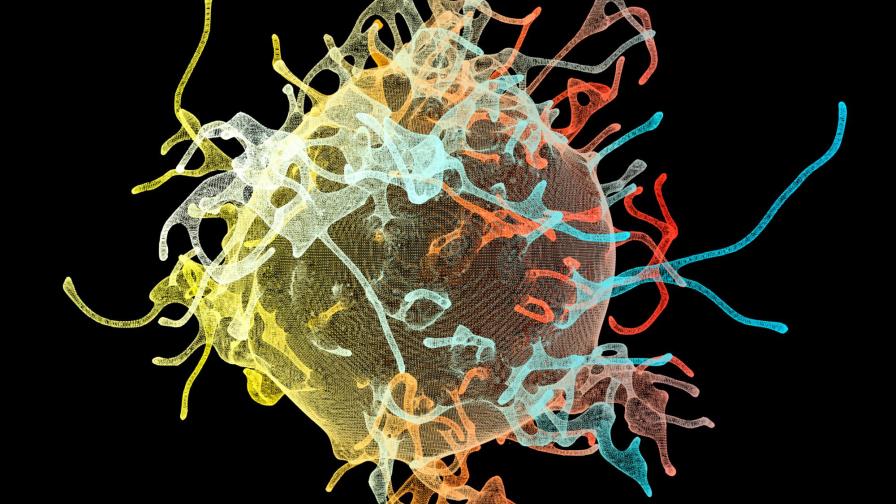 Resaltan importancia de reforzar los programas de inmunización para prevenir la meningitis