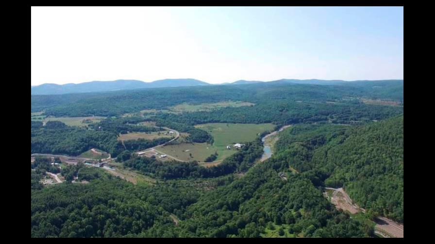 El bosque fósil más antiguo del mundo está en Nueva York