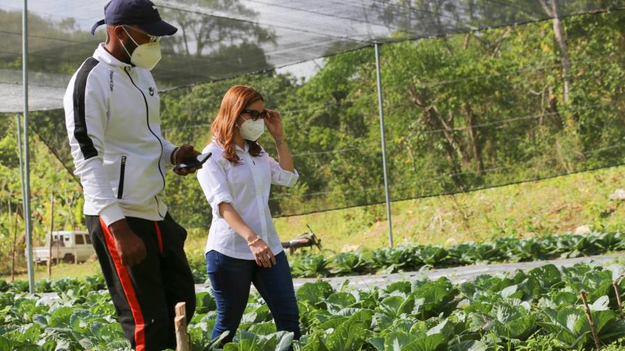 Más de 1.3 millones de familias han sido beneficiadas a través de Supérate 