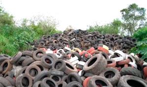 Video | Gal&aacute;pagos se deshace de cinco pisos de neum&aacute;ticos