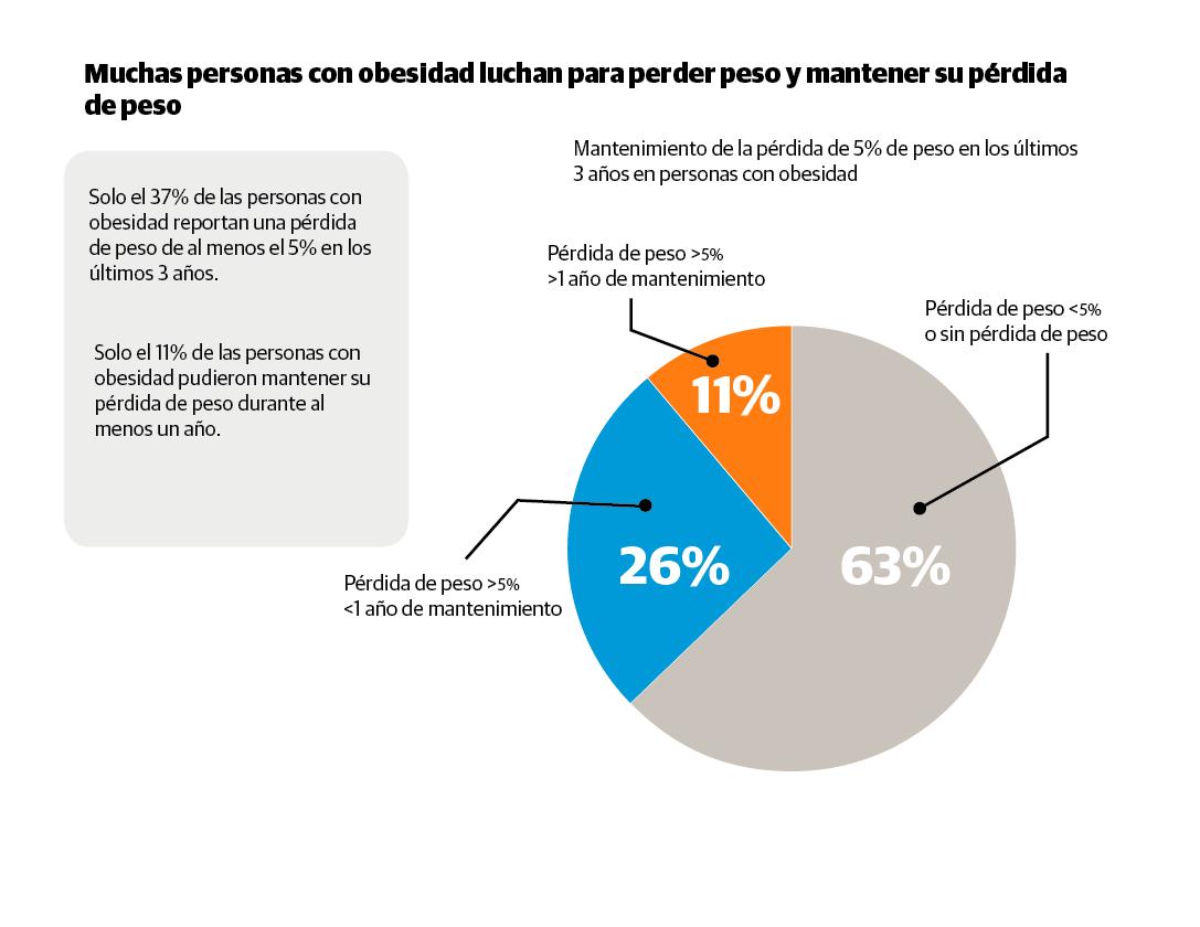 Infografía