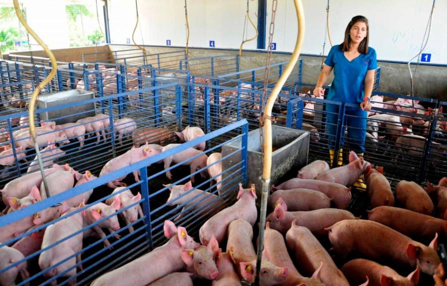 La porcicultura dominicana en tiempos de COVID-19 y con tasa cero
