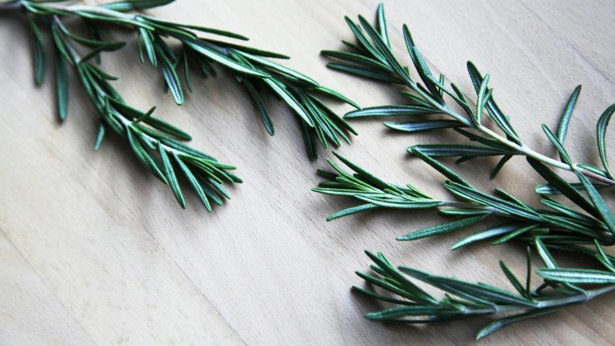 Los beneficios del romero para la salud física y mental