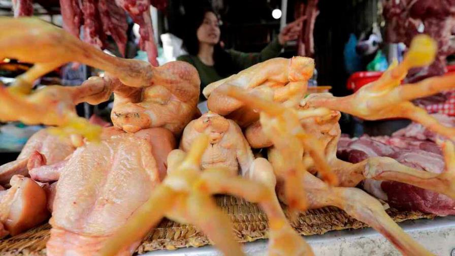 China detecta el primer caso mundial de gripe aviar H10N3 en humanos China detecta el primer caso mundial de gripe aviar H10N3 en humanos
