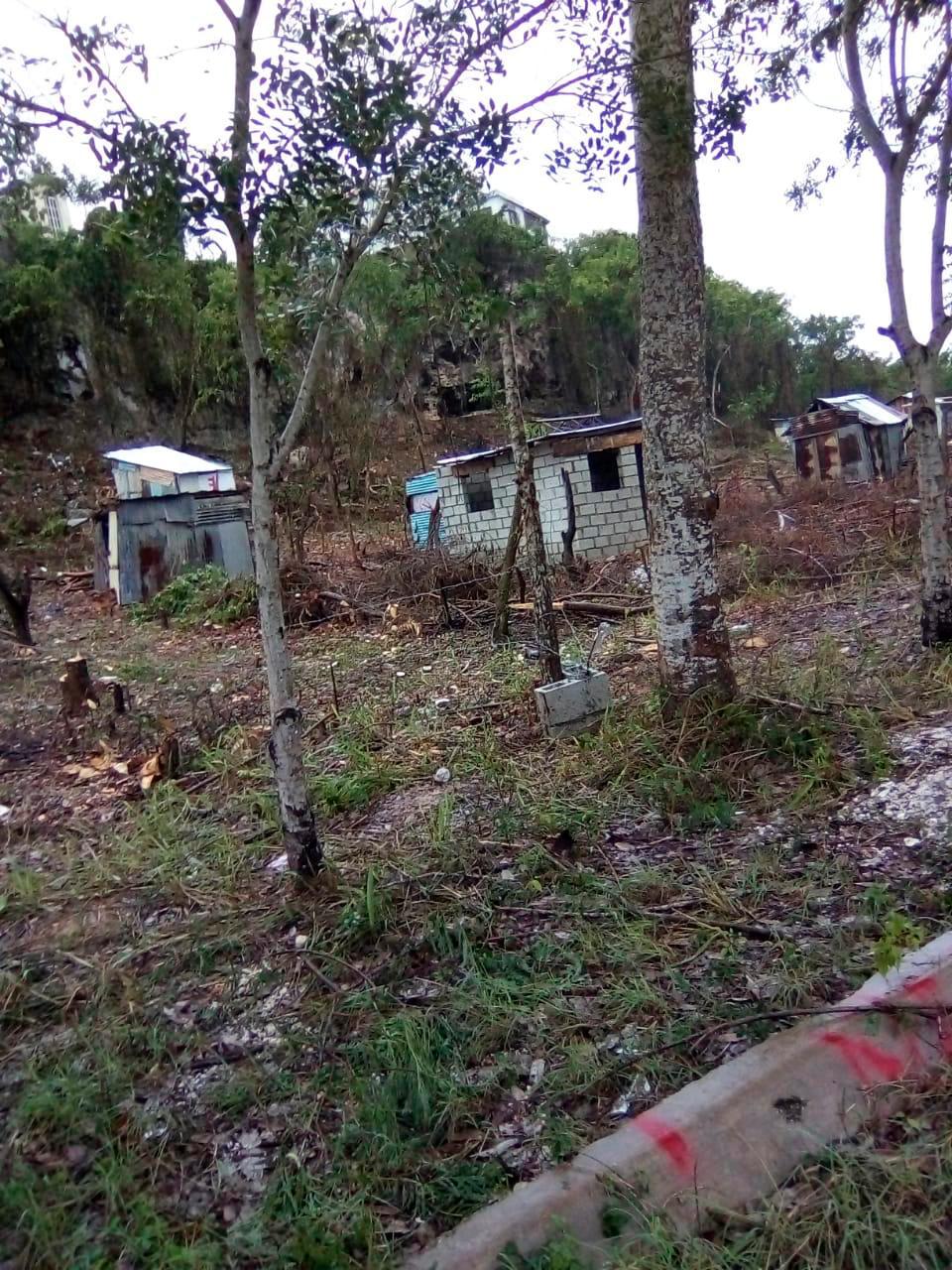 El comité de defensa de los Farallones denunció que supuestos invasores han construido viviendas en áreas protegidas.