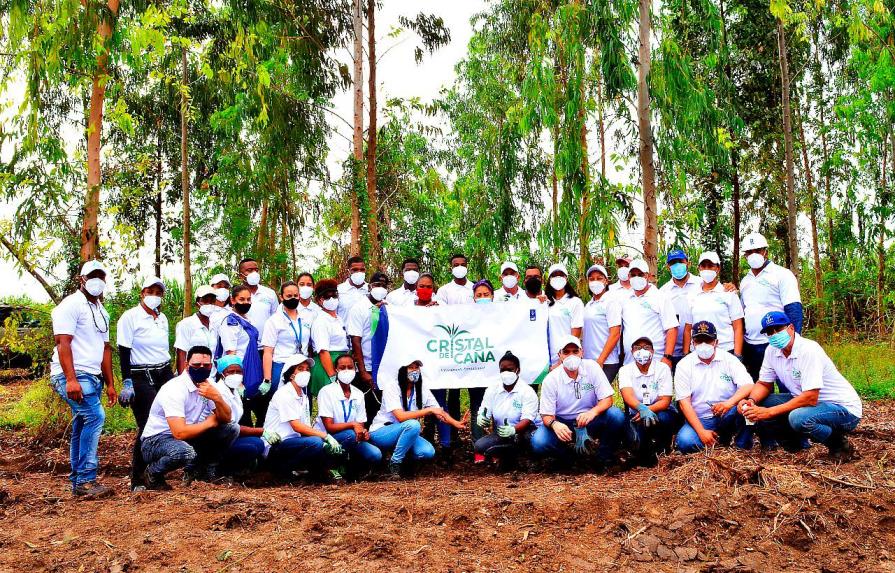 Empleados del Consorcio Azucarero de Empresas Industriales plantan árboles