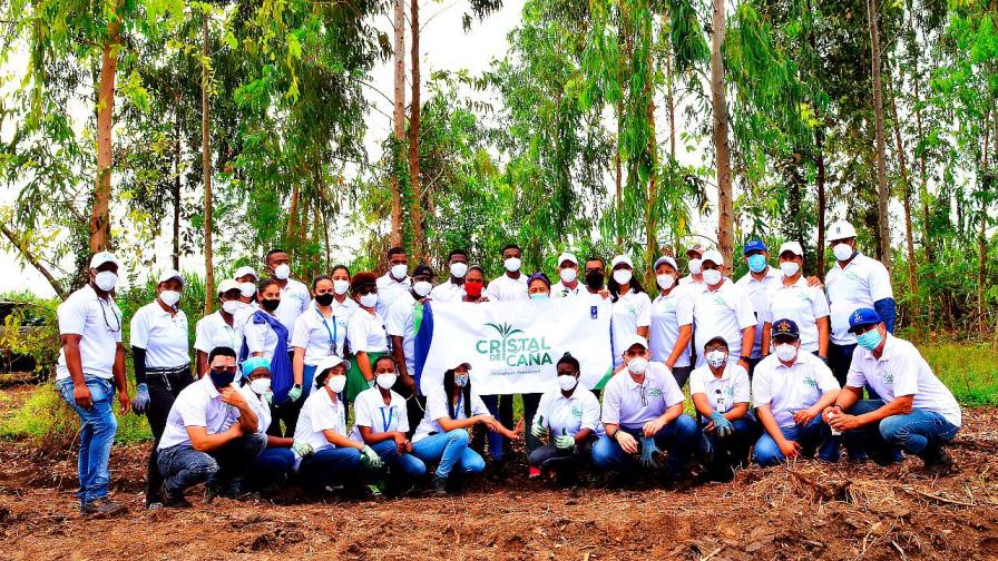 Empleados del Consorcio Azucarero de Empresas Industriales plantan árboles