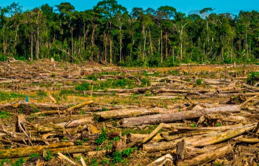 Deforestación en Amazonía de Perú se redujo 1.148 hectáreas en 2018