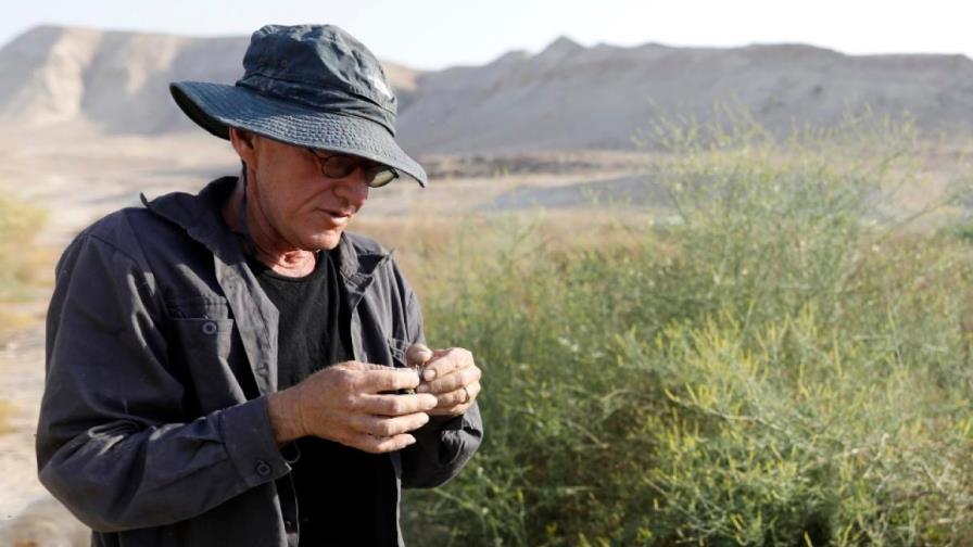 Un granjero “resucita” perfumes de la Antigüedad cerca del mar Muerto