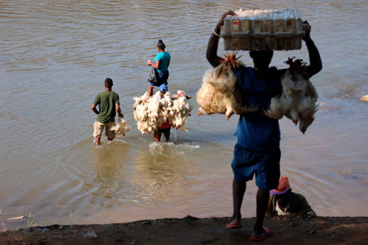 En el río Masacre, otro grupo de haitianos lo cruzaban para ir a comprar pollo muerto o gallina. 