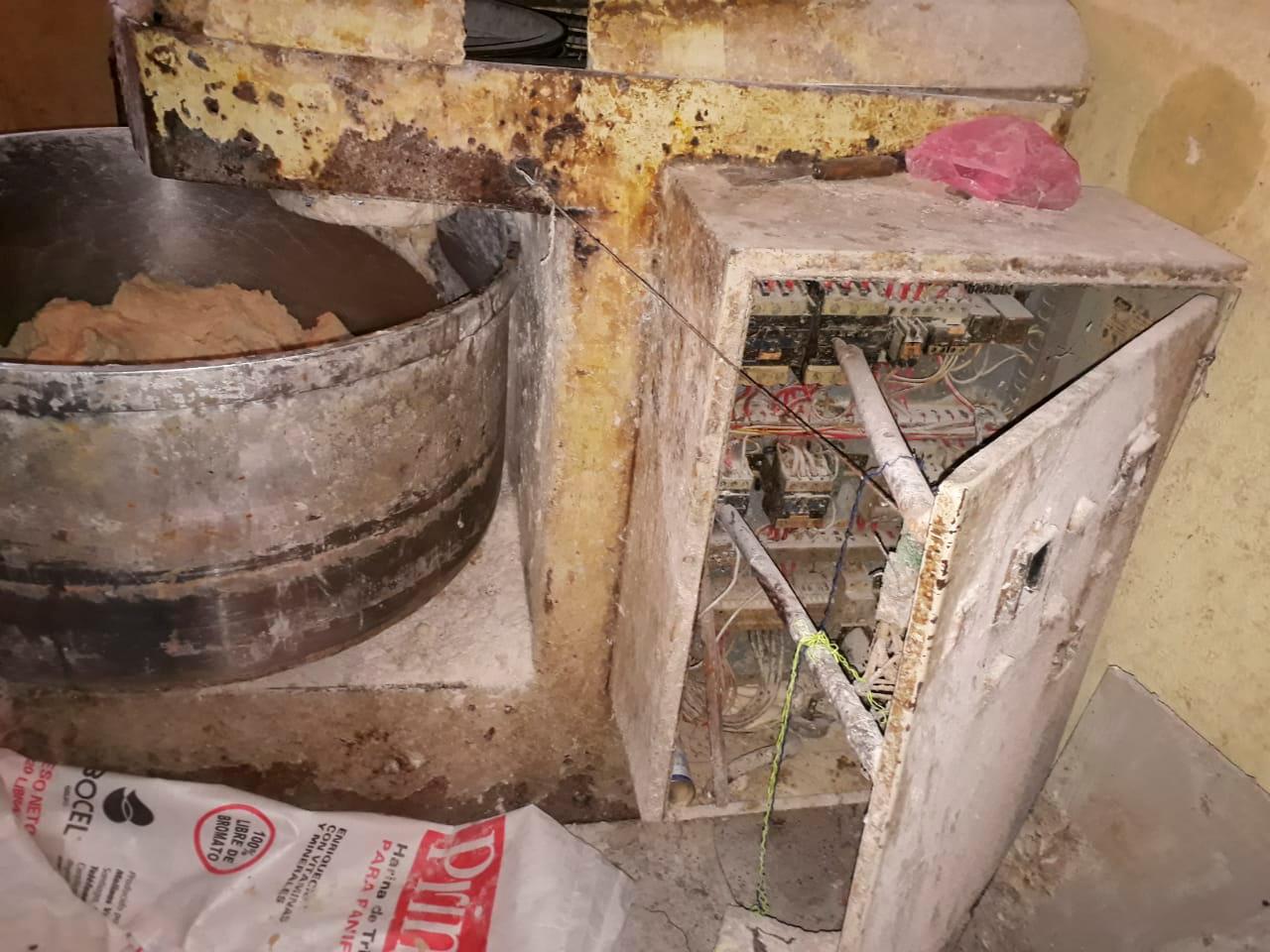 Condiciones encontradas en panadería por Pro Consumidor. 