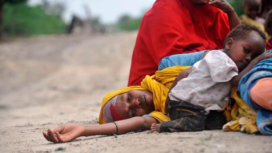 PMA: 270 millones de personas en riesgo de hambruna por conflictos y pandemia