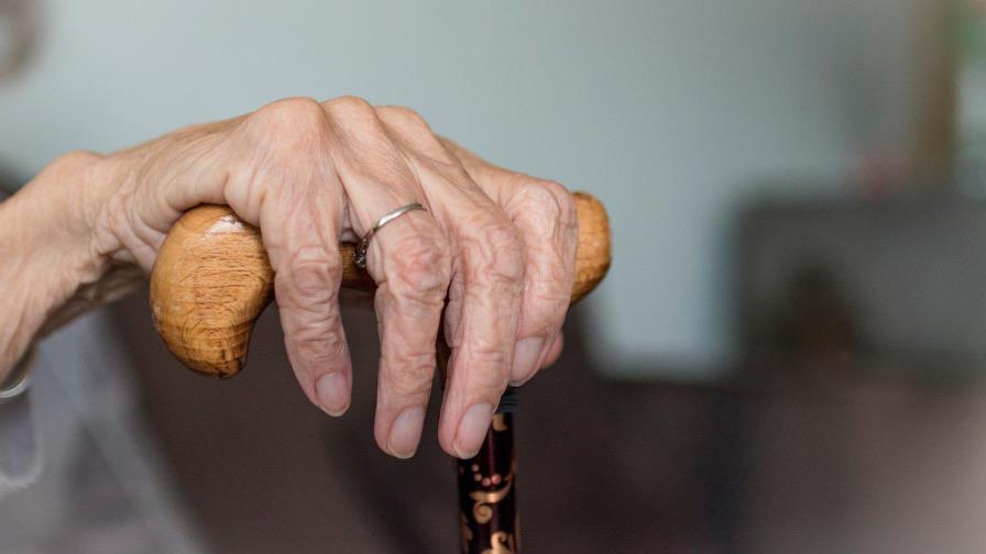 Fundación: adultos mayores deben separarse de sus nietos Fundación: adultos mayores deben separarse de sus nietos