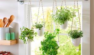 Jardín o huerto en casa, iníciate en uno de estos grandes placeres