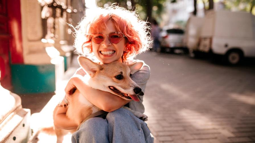 Siete lugares donde adoptar un perro en el país Siete lugares donde adoptar un perro en el país