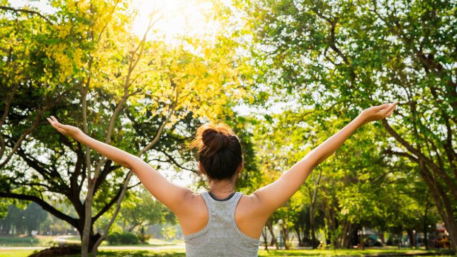 Llegó el otoño, ¡resetea tu cuerpo y mente!