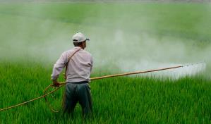 España, Colombia y otros 30 países confiscan 1,346 toneladas de pesticidas